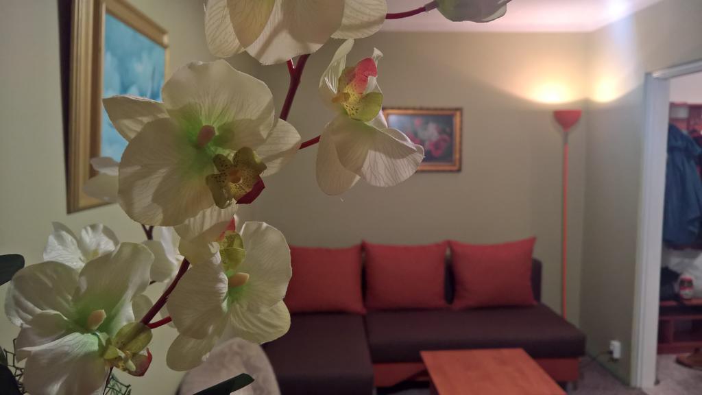 Apartament Konopnicka Augustów Esterno foto